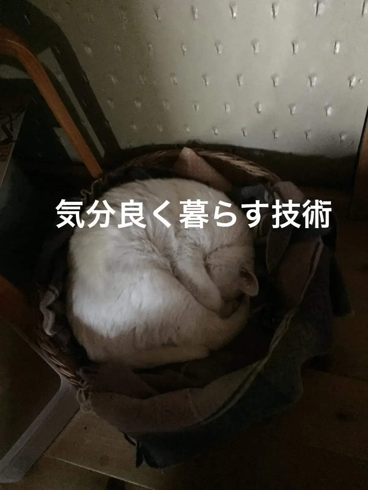 気分良く暮らす技術